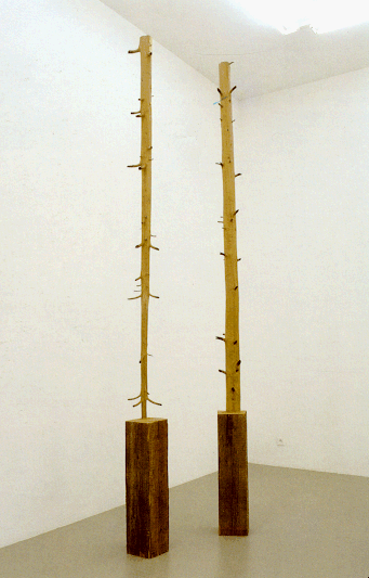 [cml_media_alt id='2148'] Giuseppe Penone: 11-Meter Tree, 1989[/cml_media_alt]